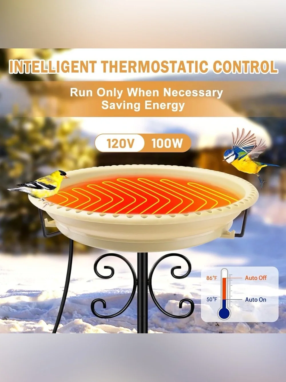 Heated Bird Bath